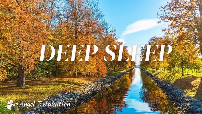 DEEP SLEEP 1 Hour Soothing Sleep Music丨Relaxing Piano Music丨Falling