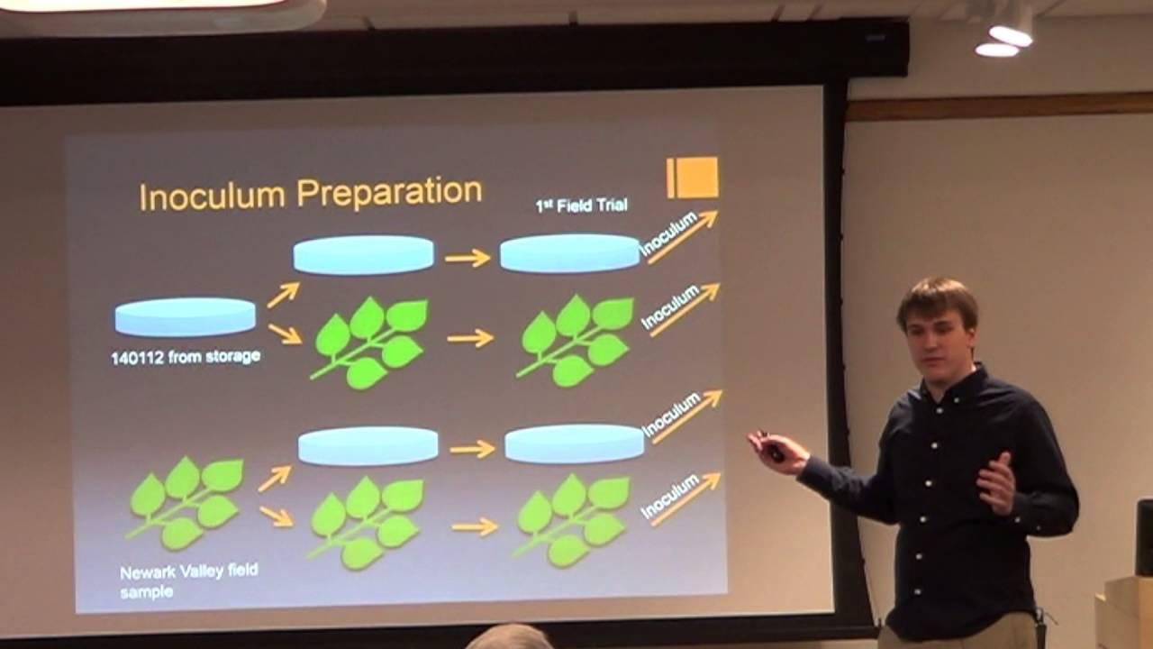 Sean Patev: Does culture history and preparation of sporangia affect pathogenicity?