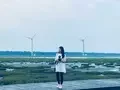 Rachel's Diary