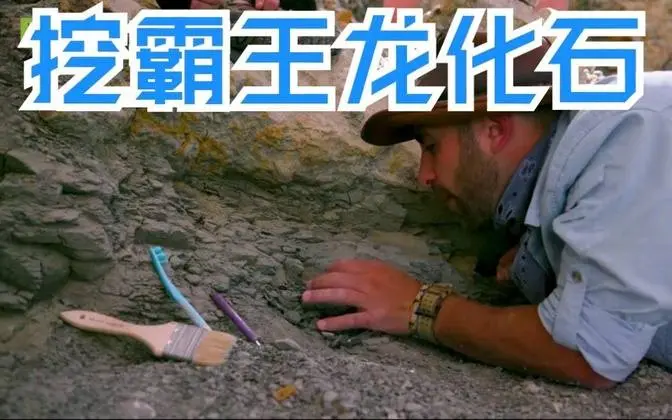 熟肉【化石猎人】在美国怀俄明州的侏罗纪公园挖恐龙化石，霸王龙暴龙异特龙牙齿，中文字幕 #动物 #水族 #鱼类