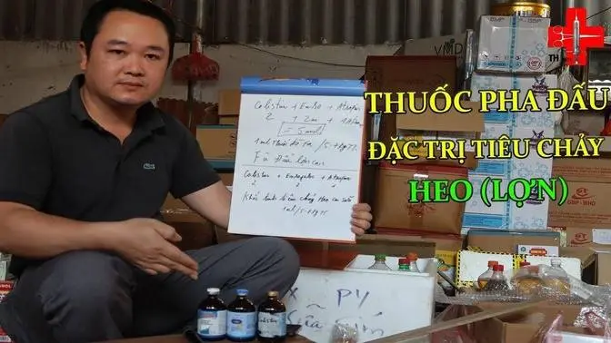 THUỐC PHA ĐẤU ĐẶC TRỊ TIÊU CHẢY HEO (LỢN) | SÁNG TẠO THÚ Y TUẤN HOÀNG
