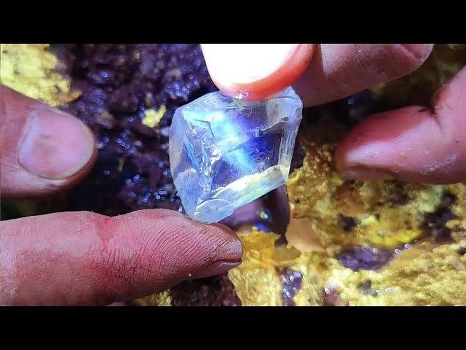 Treasure hunting in the wild, I found a golden stone with diamonds on it