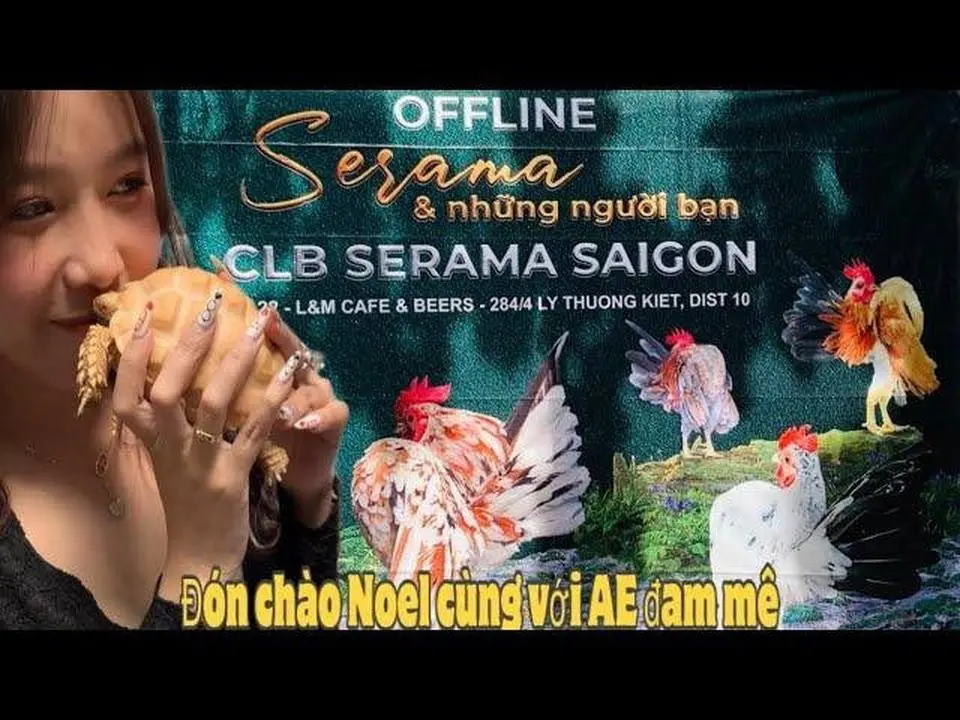 Serama và những bé pet siêu cute tại Offline Clb Serama Sài Gòn-Thái Salem(lỗi Mic🥲)