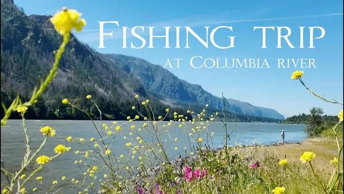 Fishing trip at Columbia river | Shad fishing and cooking | Videos | 10 ...