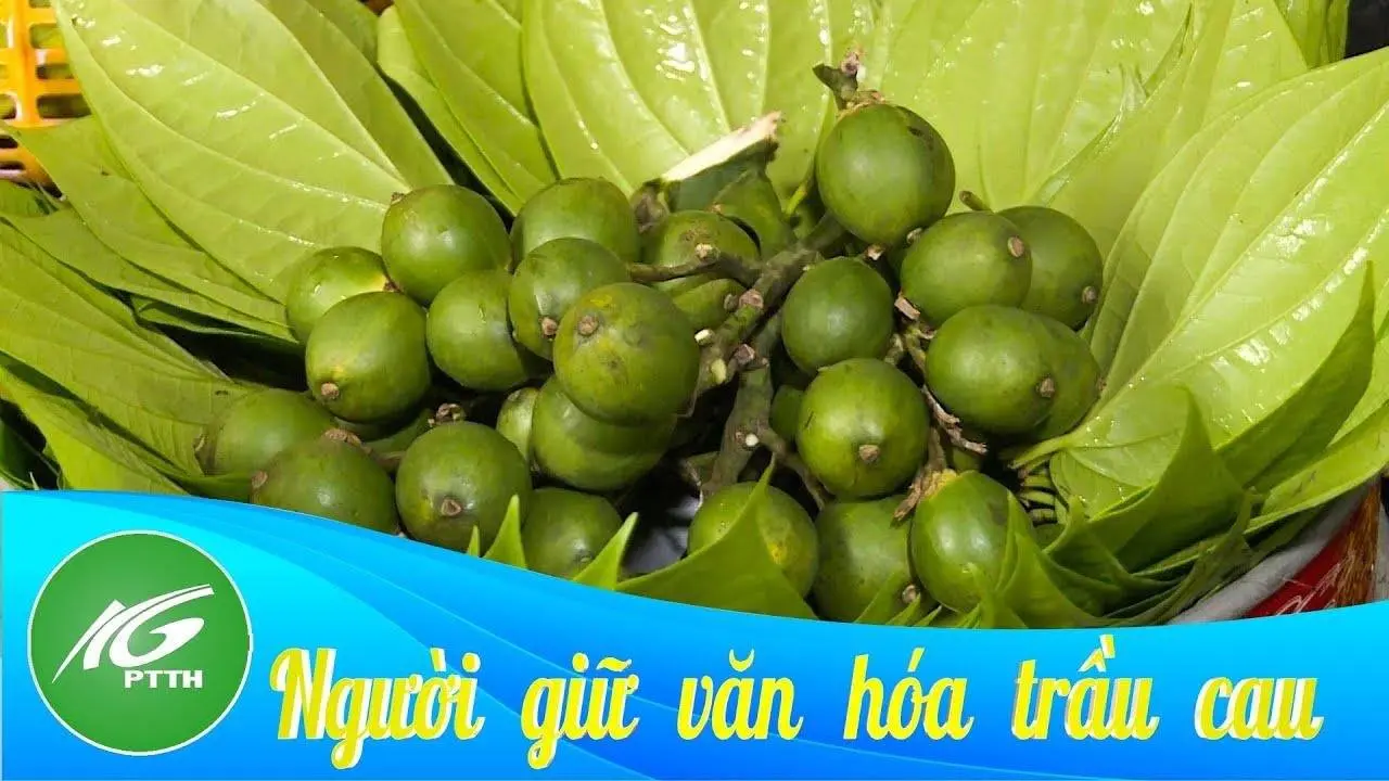 Những người gìn giữ văn hóa trầu cau