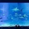 千奇海洋
