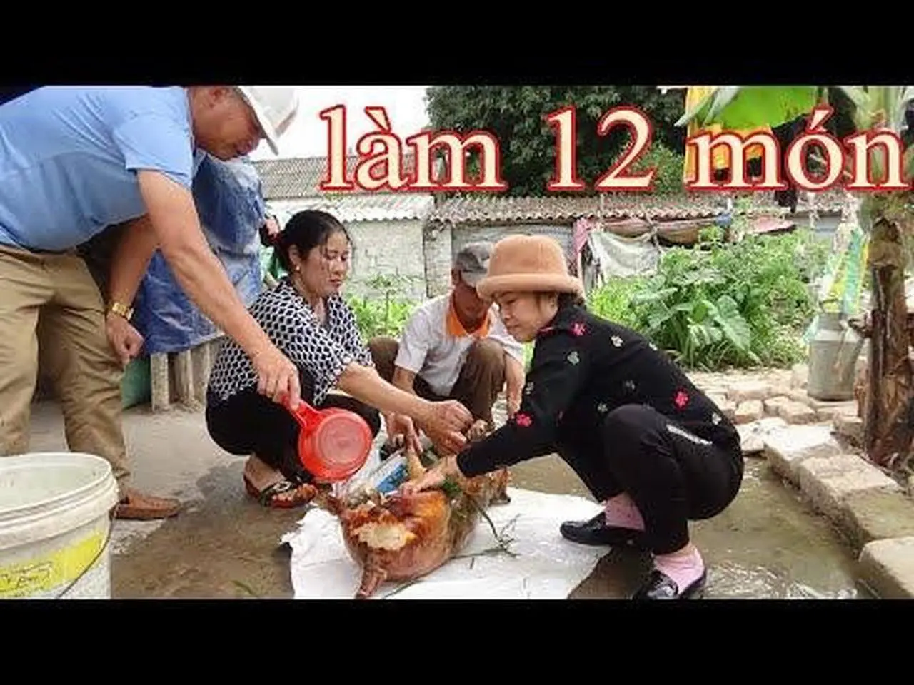 Cầy Tơ Trời mưa-Hội tụ toàn cao Thủ làm món ăn.Thế Giới Xanh