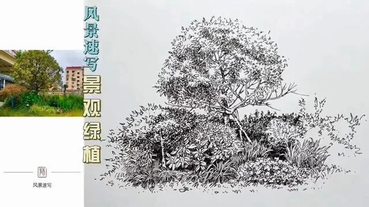 【风景速写视频】路过绿化带，拍来画一下