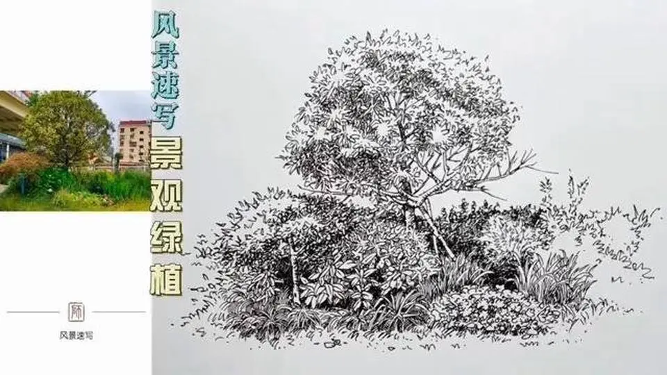 【风景速写视频】路过绿化带，拍来画一下
