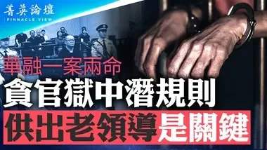 白天辉被判，为三中全会祭旗？华融背后的内幕，金融反腐，国企和私企有何区别？中共官员狱中潜规则，供不供老领导是关键【 #菁英论坛 】| #新唐人电视台 06/01/2024