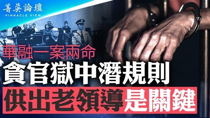 白天辉被判，为三中全会祭旗？华融背后的内幕，金融反腐，国企和私企有何区别？中共官员狱中潜规则，供不供老领导是关键【 #菁英论坛 】| #新唐人电视台 06/01/2024