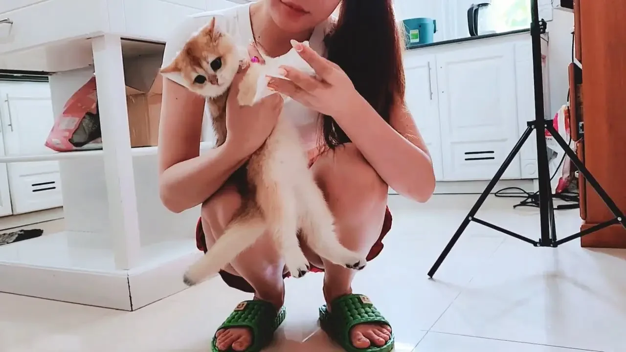 Vie Girl Feeding Her 4 Months Cute Kitten Boi Boi | Viral Cat