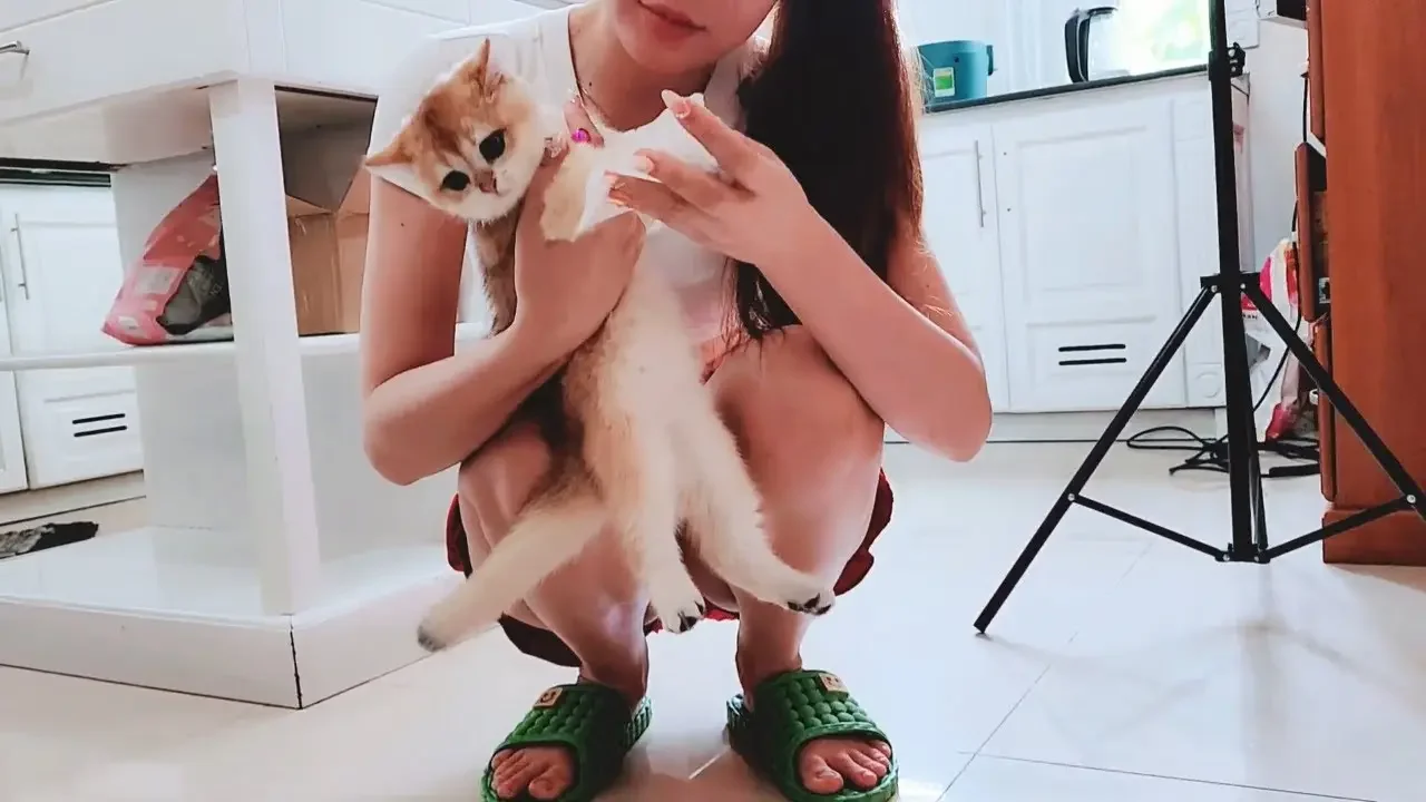 Vie Girl Feeding Her 4 Months Cute Kitten Boi Boi | Viral Cat