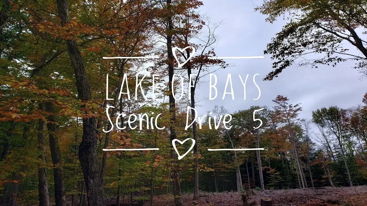 Lake of Bays Scenic Drive in Baysville, ON Canada 5  가을나들이