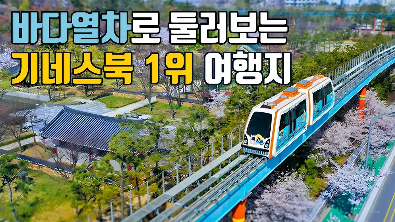 국내최장 도심형 바다열차 타고 가는 ‘기네스북 세계 1위’ 여행지🚃 도심속 해변산책🏖️ 대중교통 당일치기🚎