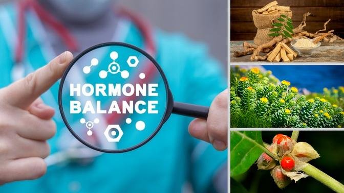 Nurturing Hormonal Harmony: Exploring the Best Herbs for Hormone ...