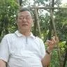 Dang Hoanh Loan