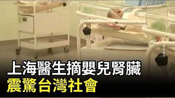 上海醫生摘嬰兒腎臟 震驚台灣社會| #中國禁聞