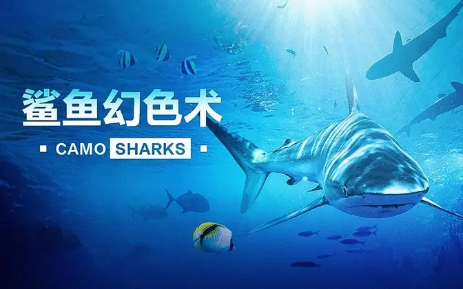 【美国】【纪录片】鲨鱼幻色术 Shark Phantom Technique