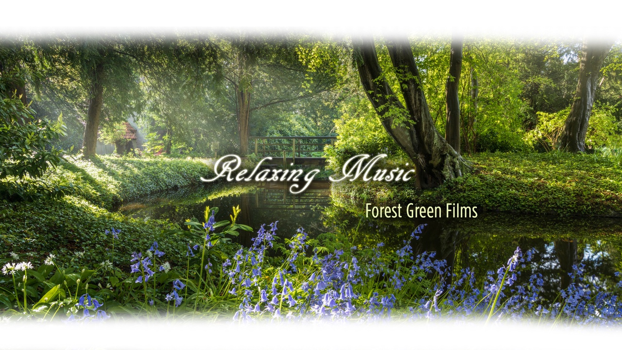Relaxing Music | Forest Green Films