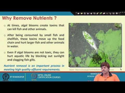 Lecture 44:Tertiary Treatment: Nutrients Removal