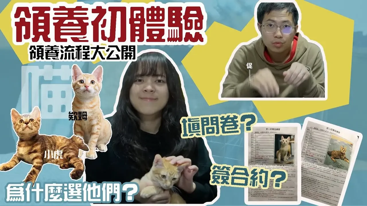 【貓奴生活 Ep. 2 】領養流程大公開！兩小貓正式加入！ | 生活不就是這樣