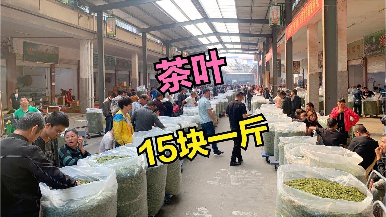 【茶農王大鵬】這就是最便宜的茶葉了，一斤只要15塊，但茶廠一天能加工10000斤
