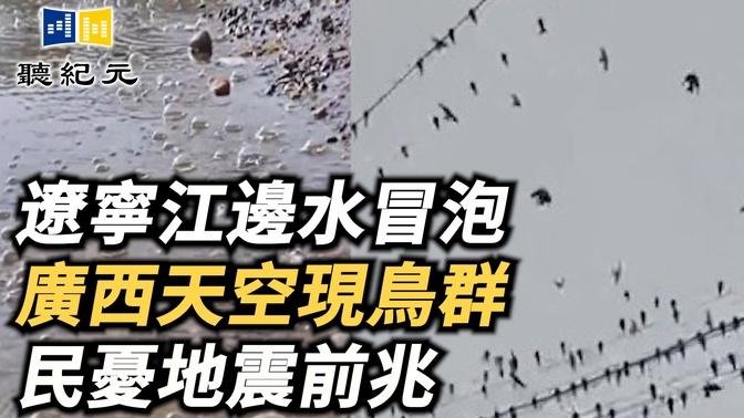 遼寧江邊水冒泡 廣西天空現鳥群 民憂地震前兆【 #聽紀元 】| #大紀元新聞