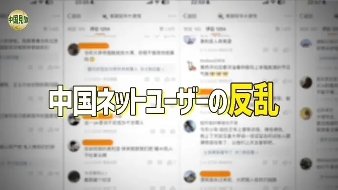 中国ネット民が反旗を翻す