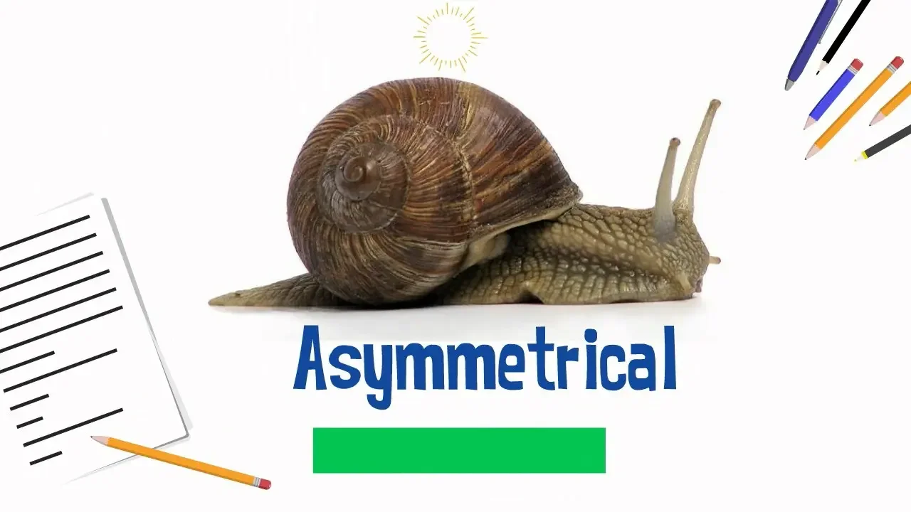 Asymmetrical Animals