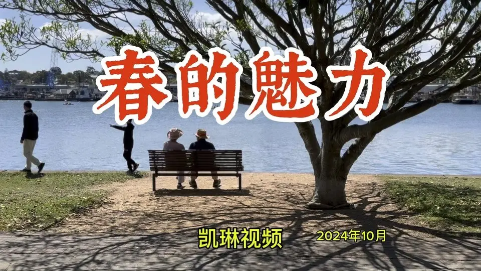 春的魅力2024年10