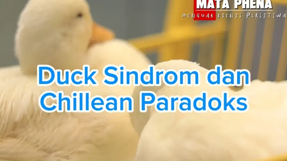 Duck Syndrome dan Chillean Paradox #opini #sosial #ekonomi #fyp
