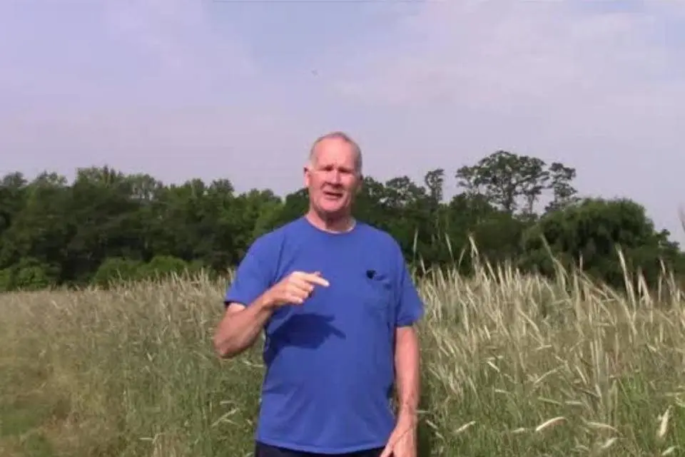 NEW NO-TILL COVER CROP Taming Tool
