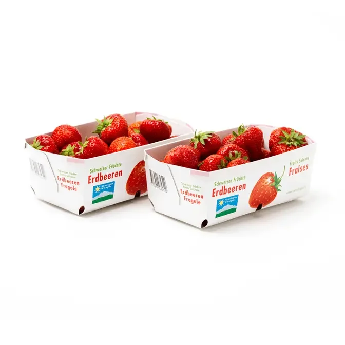 What Are The Common Sizes For Strawberry Packaging Boxes?