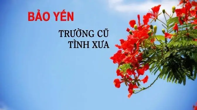 Bảo Yến | Hợp Tuyển Bolero Trữ Tình Vol. #6 - Trường Cũ Tình Xưa