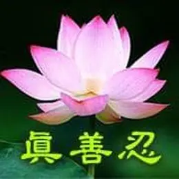 Falun Dafa Gironde