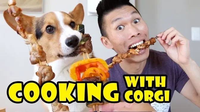 COOKING Kebabs with my CORGI Dog || Life After College: Ep. 635