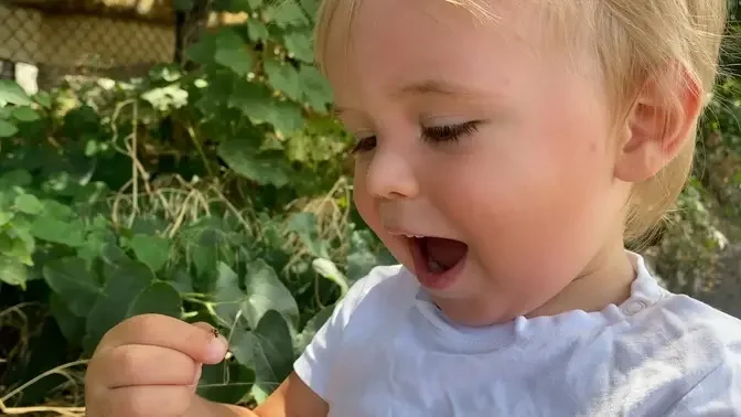 Funniest Reaction! Baby Sees an Ant for the First Time!