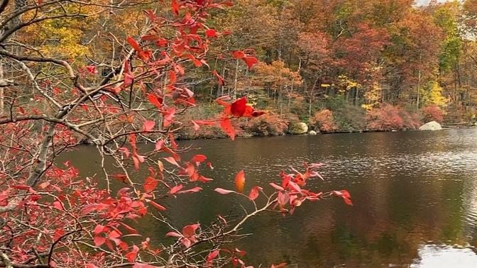 纽约上州的秋景