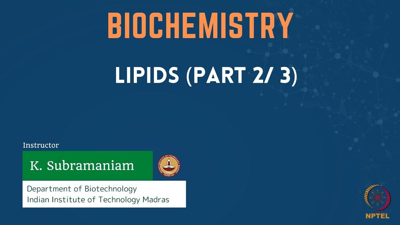 Lipids (Part 2/3)
