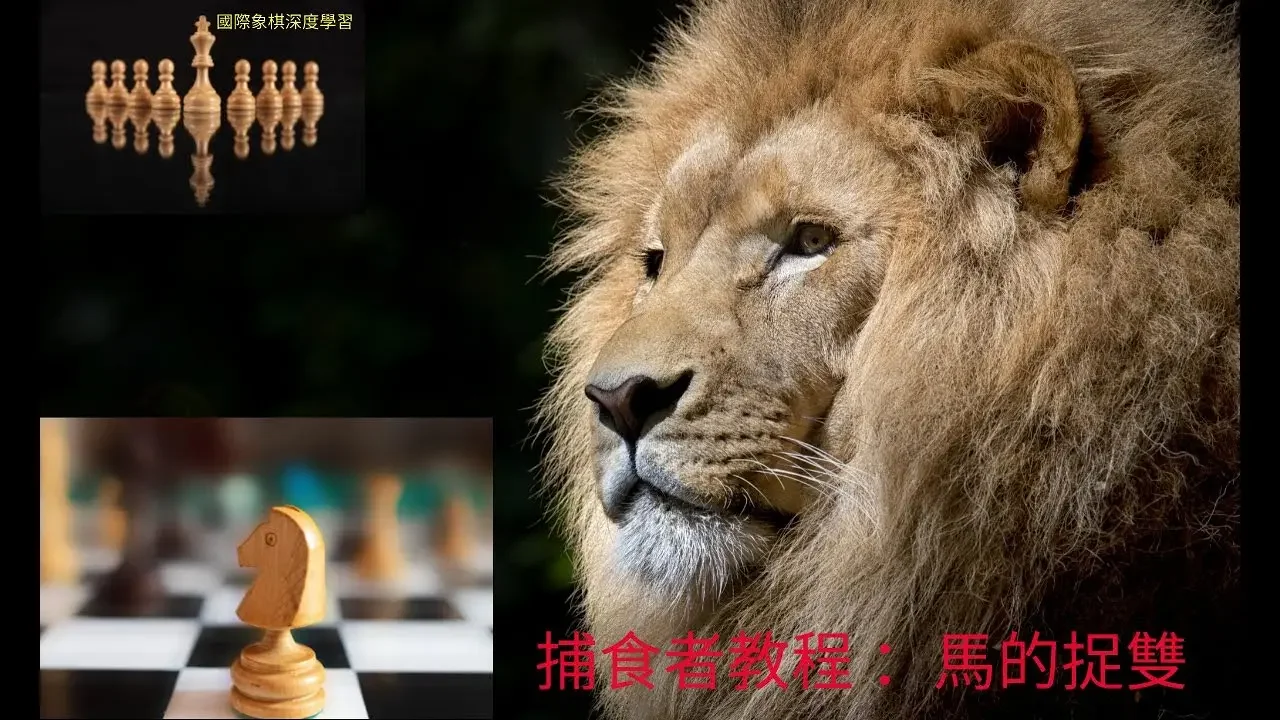 =捕食者教程: 马的捉双战术 = 最后的强攻 Knight Fork #西洋棋 #国际象棋 #国际象棋战术