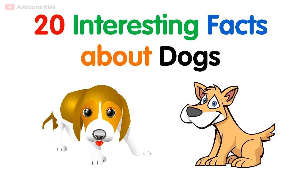 20 Interesting facts about Dog | Facts about Dogs | @AAtoonsKids
