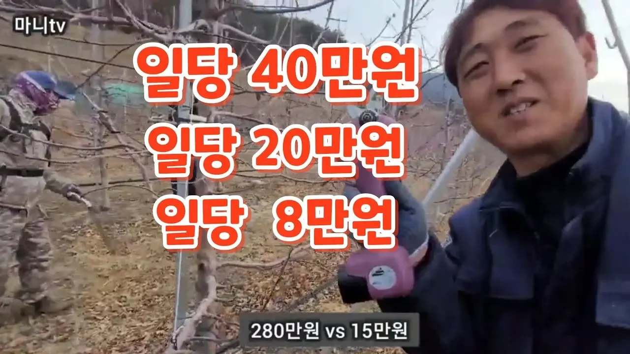 시골에 겨울철 알바/ 시골가서 뭐먹고살지? 뭐든 하겠다는 맘가짐은 되어있고?
