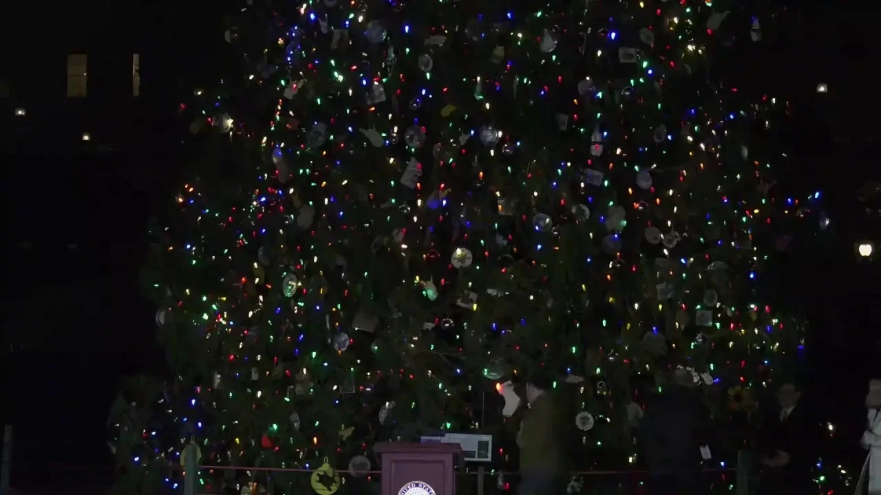 U.S. Capitol Christmas Tree Lighting