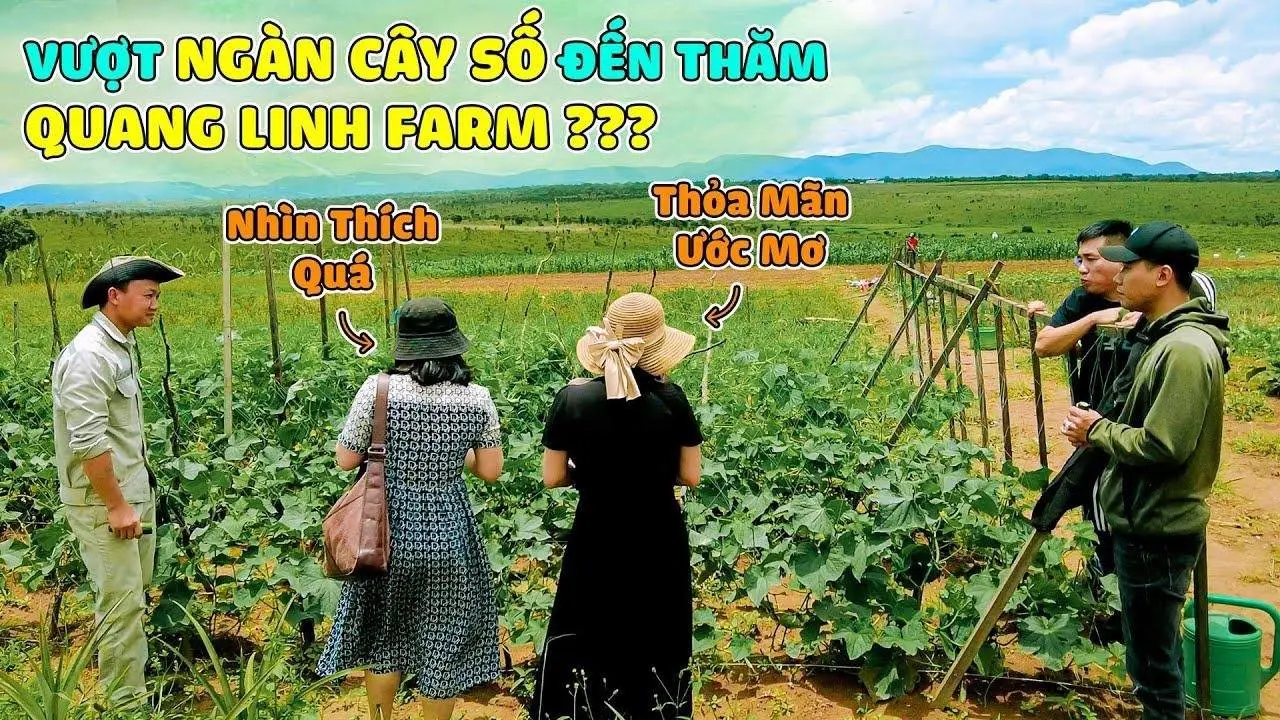 Quanglinhvlogs || Vượt 2000 Cây Số Đến Thăm Quang Linh Farm ? Điều Gì Khiến Những Vị Khách Đến Đây ?