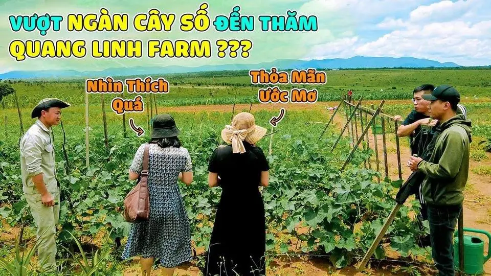 Quanglinhvlogs || Vượt 2000 Cây Số Đến Thăm Quang Linh Farm ? Điều Gì Khiến Những Vị Khách Đến Đây ?