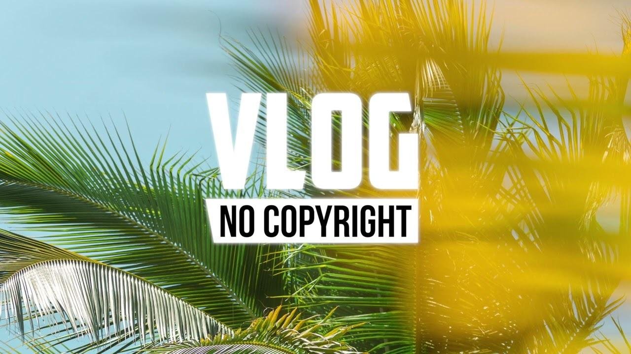 Lichu - Palm Leaves [Vlog No Copyright Music] | Tropical Summer Island Background
