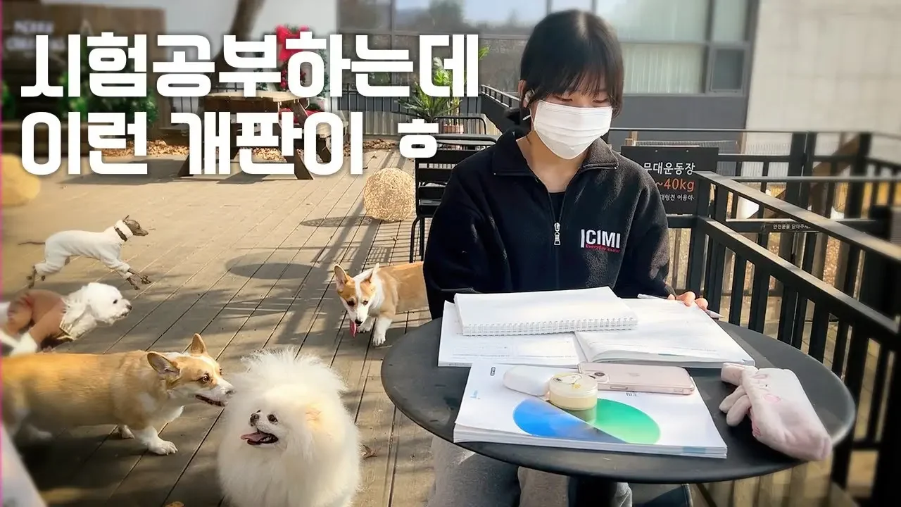 시험공부하는데 이런 개판이 ㅎ 기말고사 잘 보셨나요? 스터디윗미 아님!