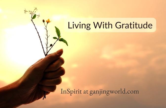 Embracing Gratitude: Nurturing Overall Wellbeing
