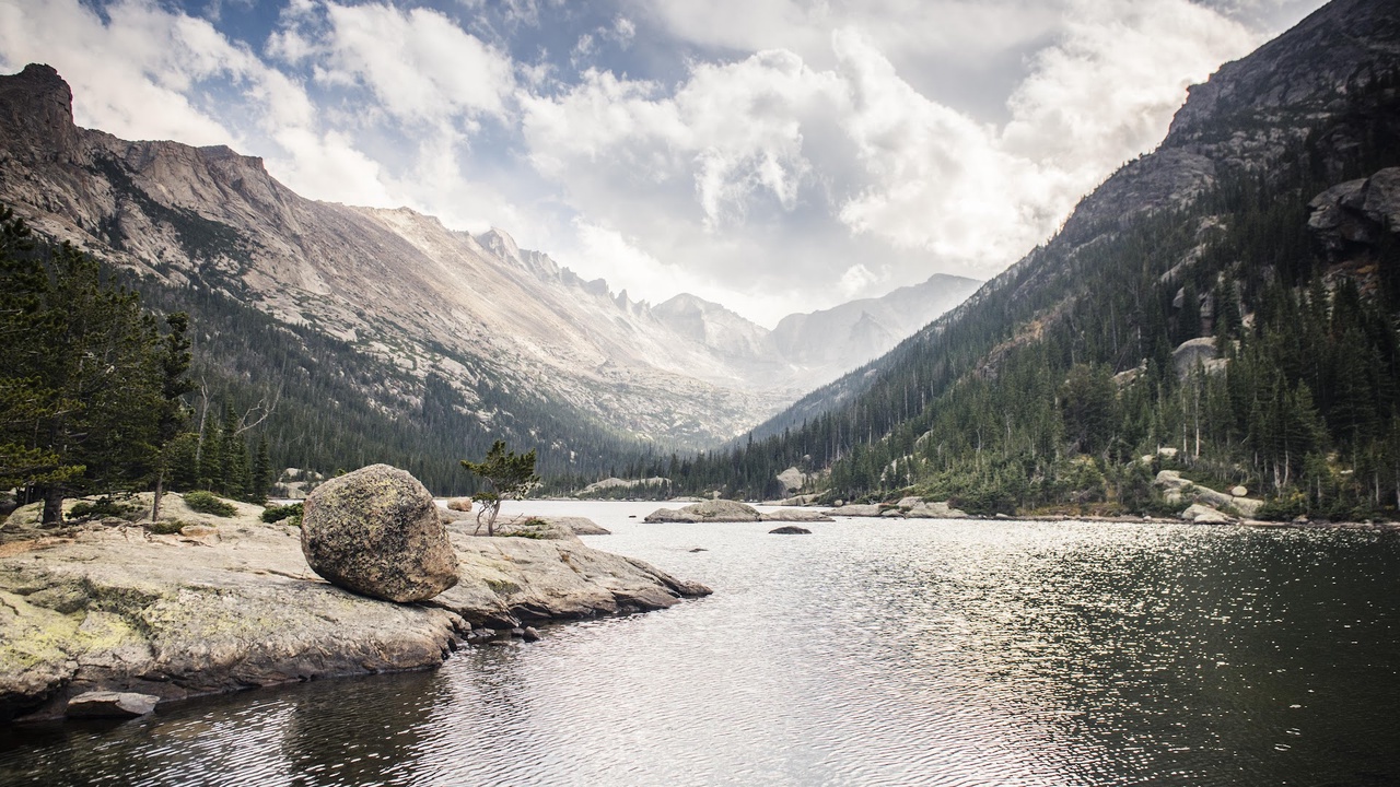 The Nature Conservancy